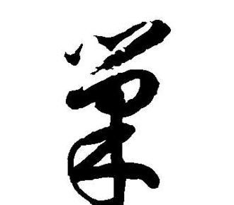 穴字详解：多义汉字背后的文化内涵与医学知识