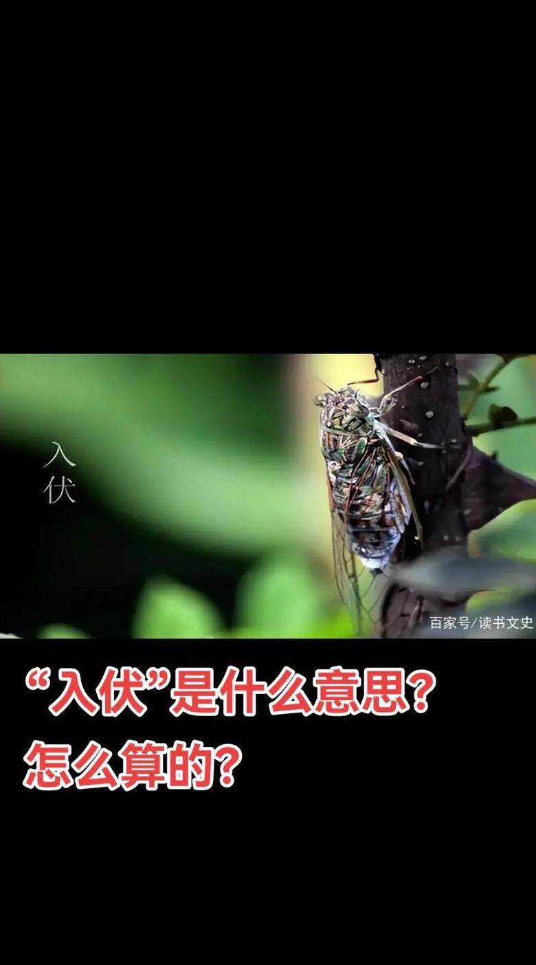 伏案之伏：汉字起源与多重含义解析