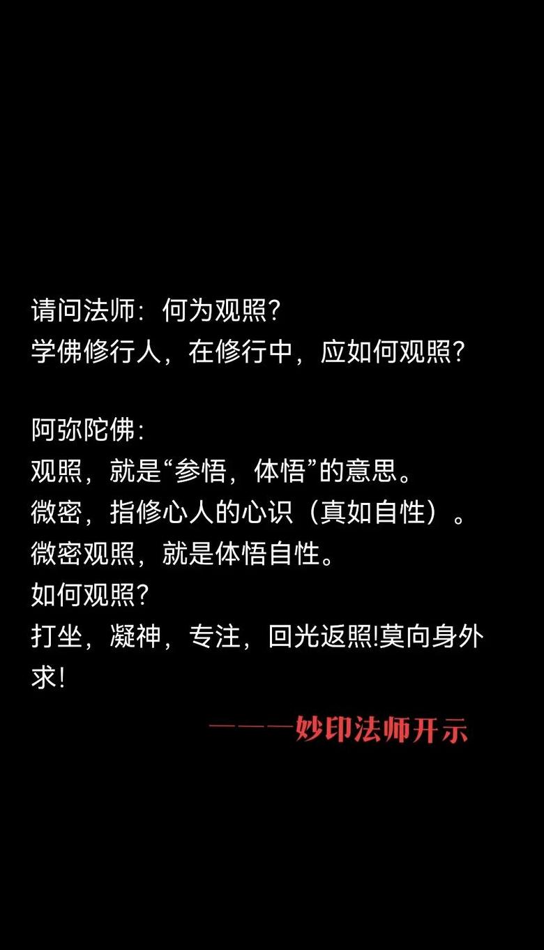 莫回术语解析：社交语境下的双重含义与沟通技巧