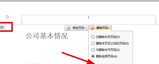 Word文档页码删除教程：轻松去除单页页码步骤解析