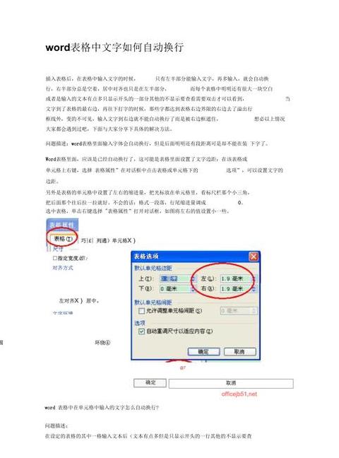 Word文档自动换行问题解析