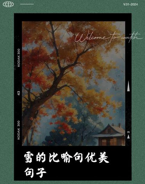 雪的千姿百态：诗意比喻句集锦