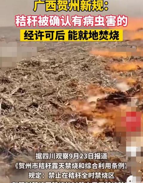 2024年秸秆禁烧新政策：环保利用与监管升级解析