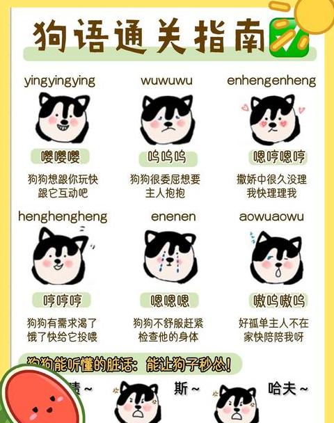 C语言中ABS函数的含义及使用方法