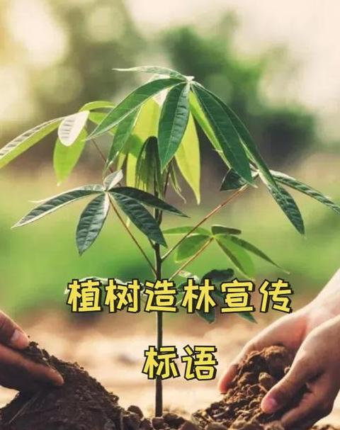 植树节经典名言荟萃