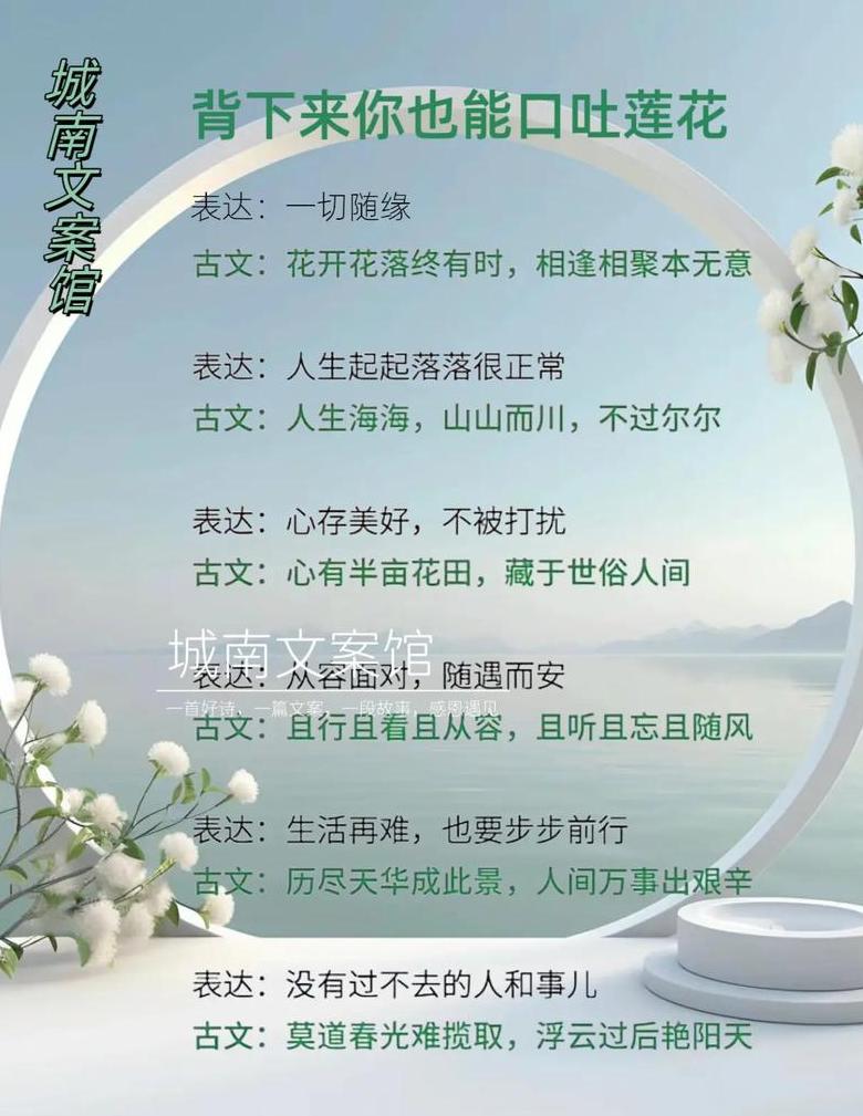 花语人生：丧偶女性与花的情感故事