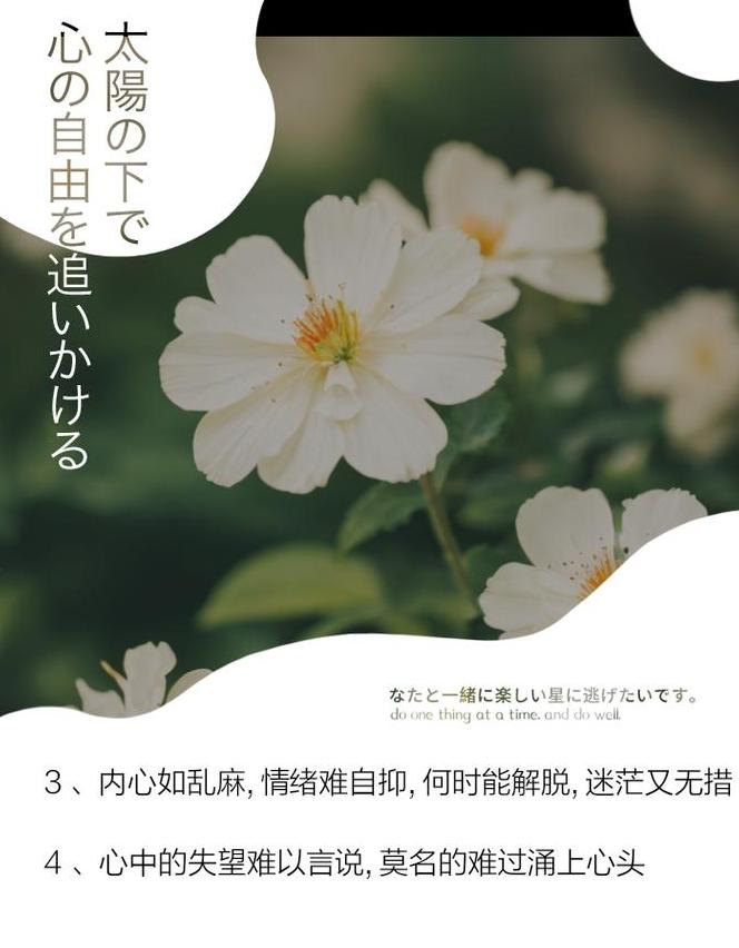 百感交织：那些触动心弦的句子