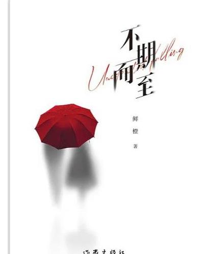 咬猫现象解析：网络流行语背后的紧急与意外