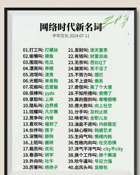 啥意思网络用语