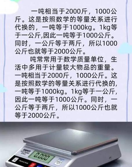 重力与重量辨析：概念解析及单位说明