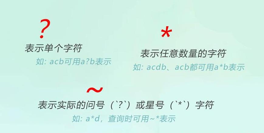 Excel通配符详解及使用技巧