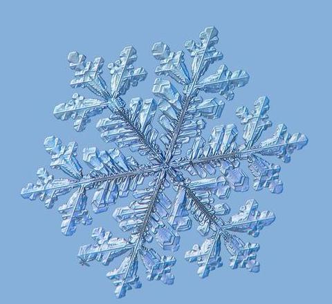 揭秘雪的七种奇妙冷知识