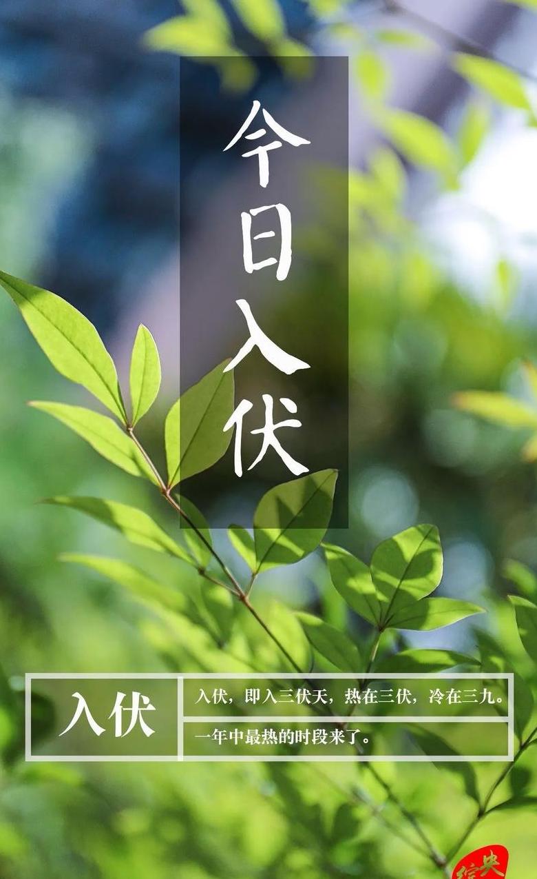 伏字的深层含义及多样用法解析