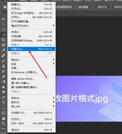 Excel转Word教程：轻松转换，提升效率