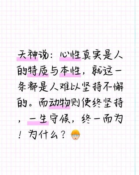 描写责任词汇大盘点