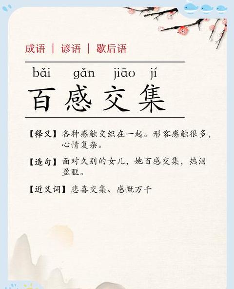 解码百感交集情感与心境的深刻描绘
