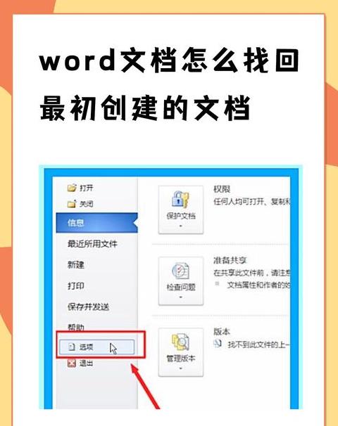 WPS文档误保存恢复攻略：如何找回历史版本