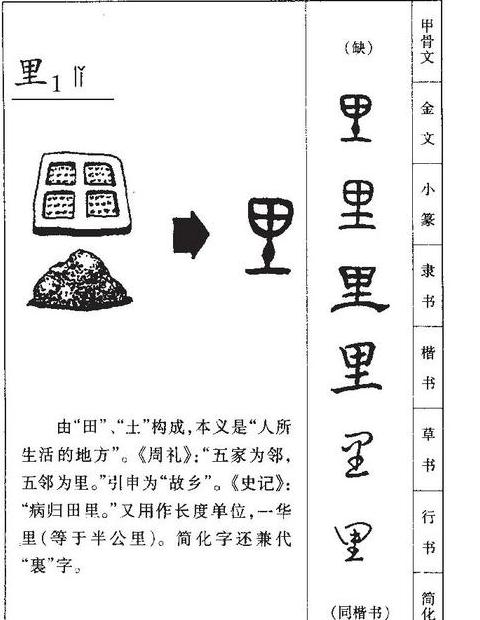 C++中cout详解：标准输出流的使用方法
