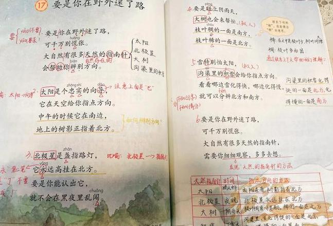 野外迷路？掌握这些天然指南针！