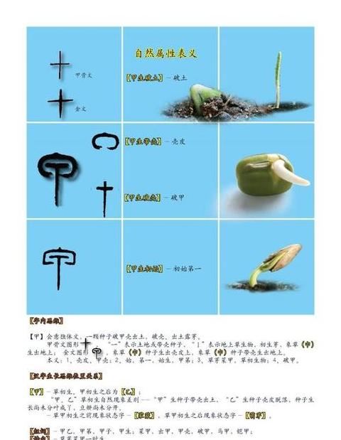 芽字拼音及组词大全
