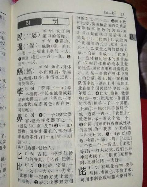 新华字典第12版汉字页码速查指南