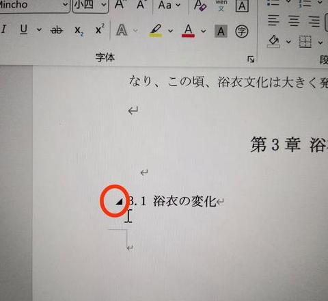 Word去段落标记符号教程