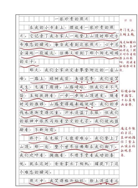Word文档批注添加指南