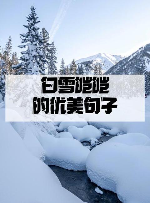 探寻白雪纷纷何所似的深层意蕴
