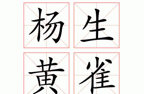 杨字成语盘点：探寻含杨成语的奥秘与魅力