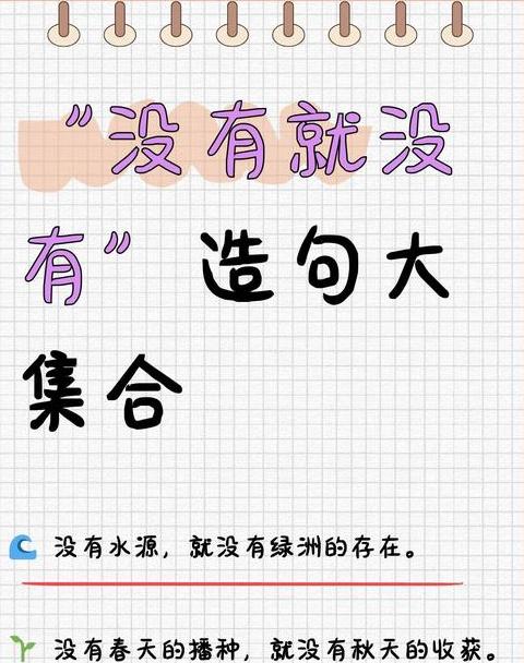 没有...就没有...句式解析与应用
