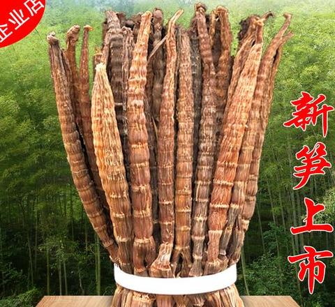 折笋啥意思