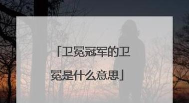 夺字古今义解析：探寻其丰富内涵与演变轨迹