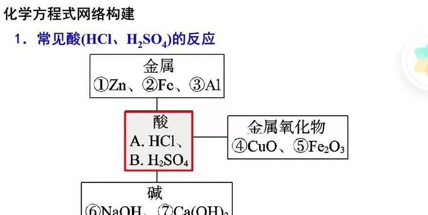 酸的反应类型与应用解析