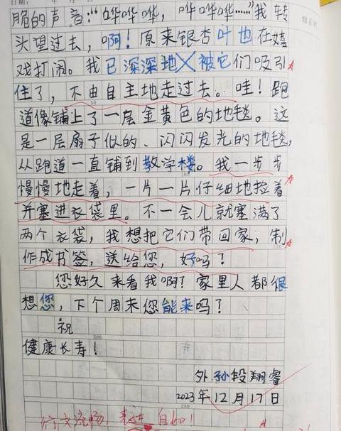 信件正文写作指南：格式与技巧
