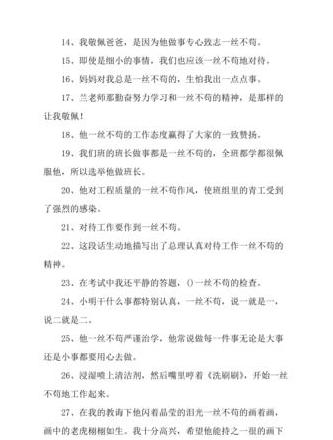 一丝不苟造句解析：掌握工作与学习的严谨态度