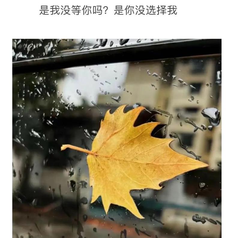 百感交集：揭秘复杂心情的交织状态