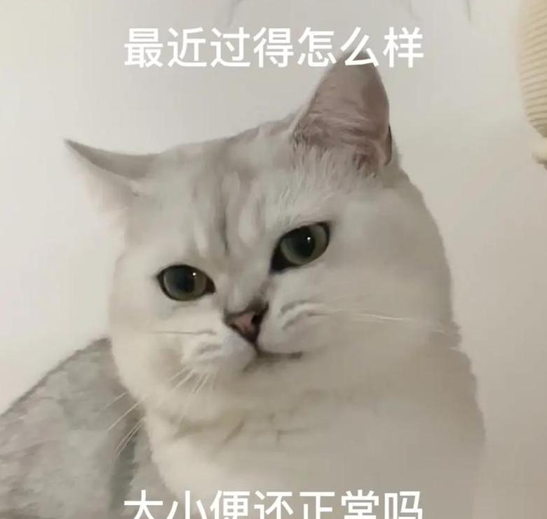 女生夸赞你咋这么好，深层含义解析