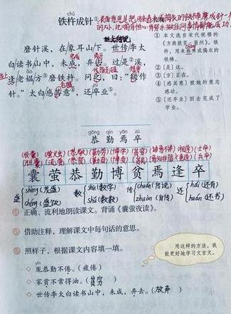 解读冰心一只小鸟：爱与成长的启示