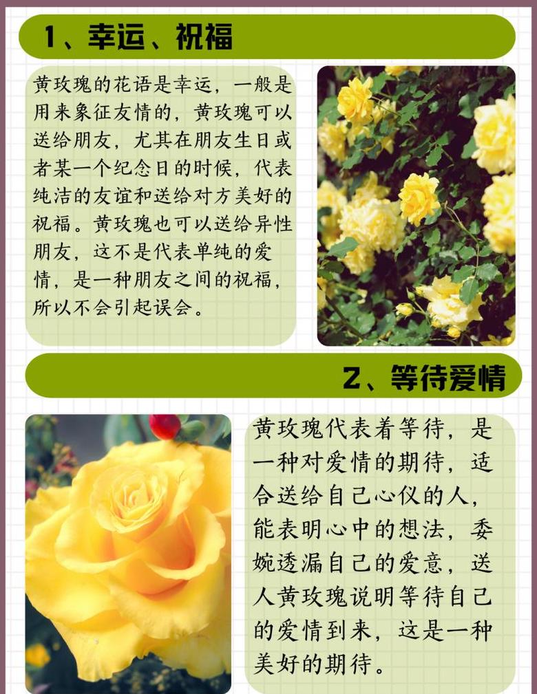 ∑代表什么意思