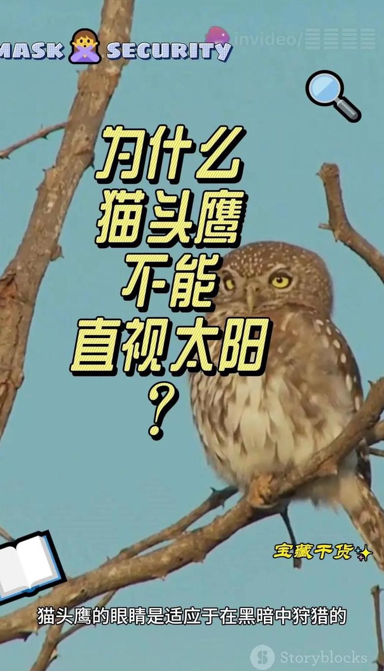 211为什么叫211