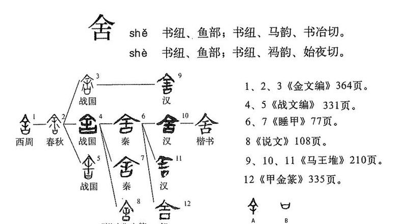 揭秘舍字部首：探寻其深层文化内涵