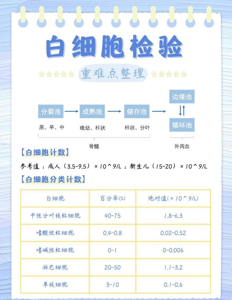 白细胞计数读法及异常原因解析