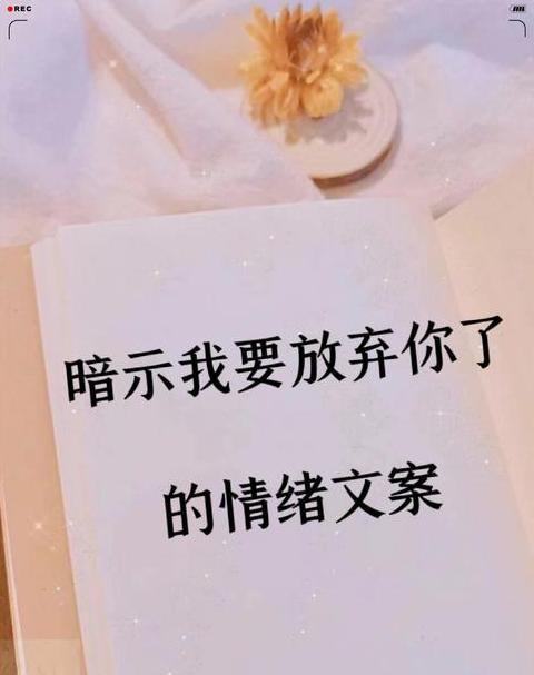 专属天使 只对你有感觉歌词解析