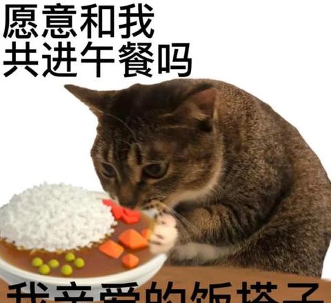 文明校园演讲稿精选五篇