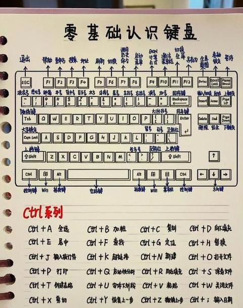 计算器1e10数值解析与科学计数法应用