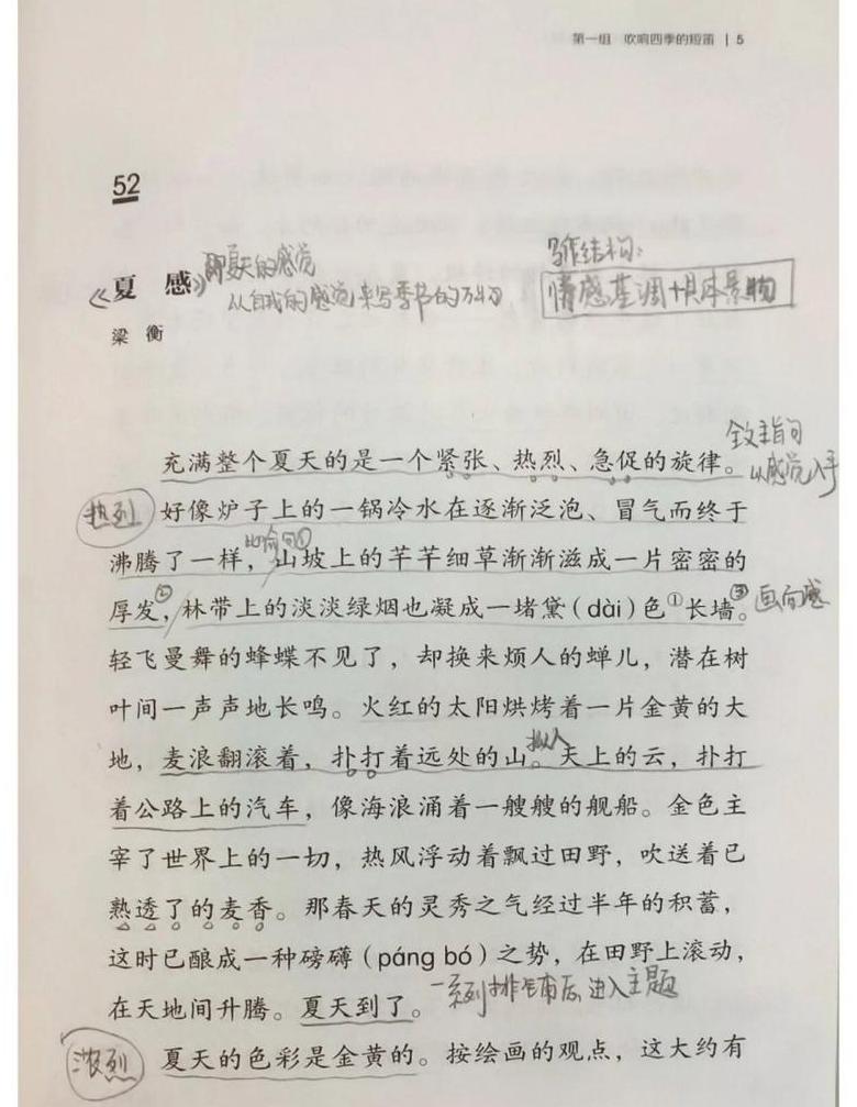 梁衡夏感：揭秘夏天的独特魅力与劳动赞歌