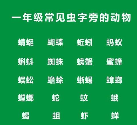 汉字趣味探秘：巧用偏旁创生新字，昆虫世界大揭秘