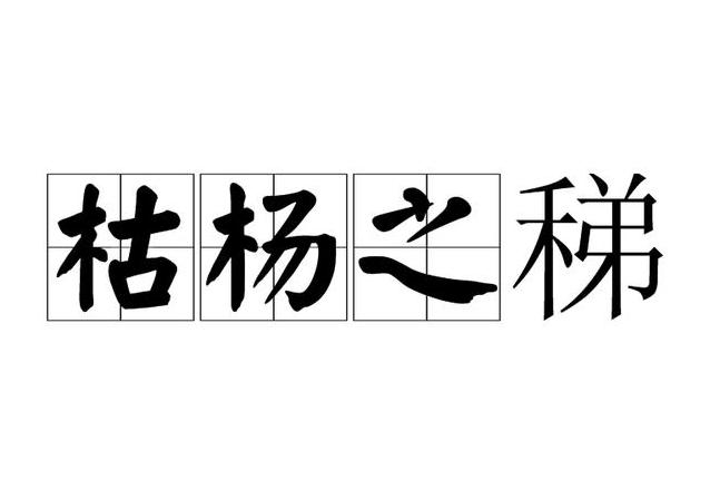 盘点与杨字相关的成语