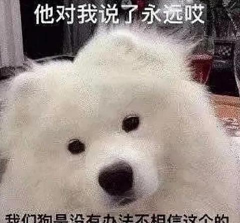 我不care网络流行语解析：意思及用法详解