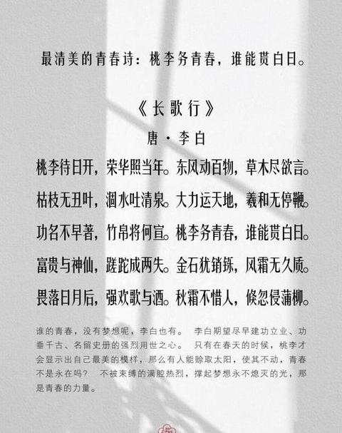 不负韶华：古诗词中的励志名言精选